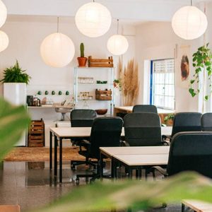 Cowork Salt Cowork Ericeira